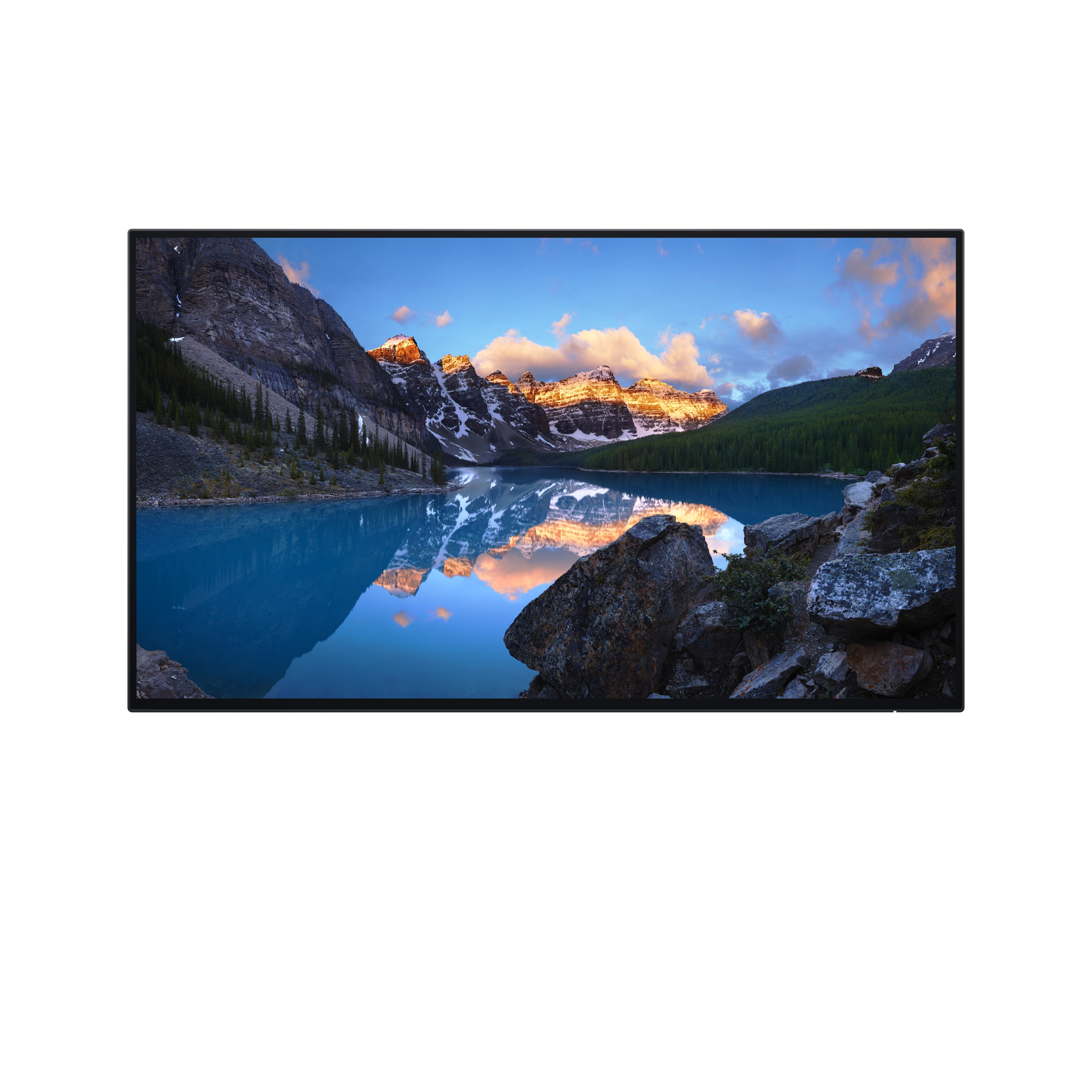 Dell UltraSharp 24 Monitor - U2424H without stand - 60.47cm (23.8")