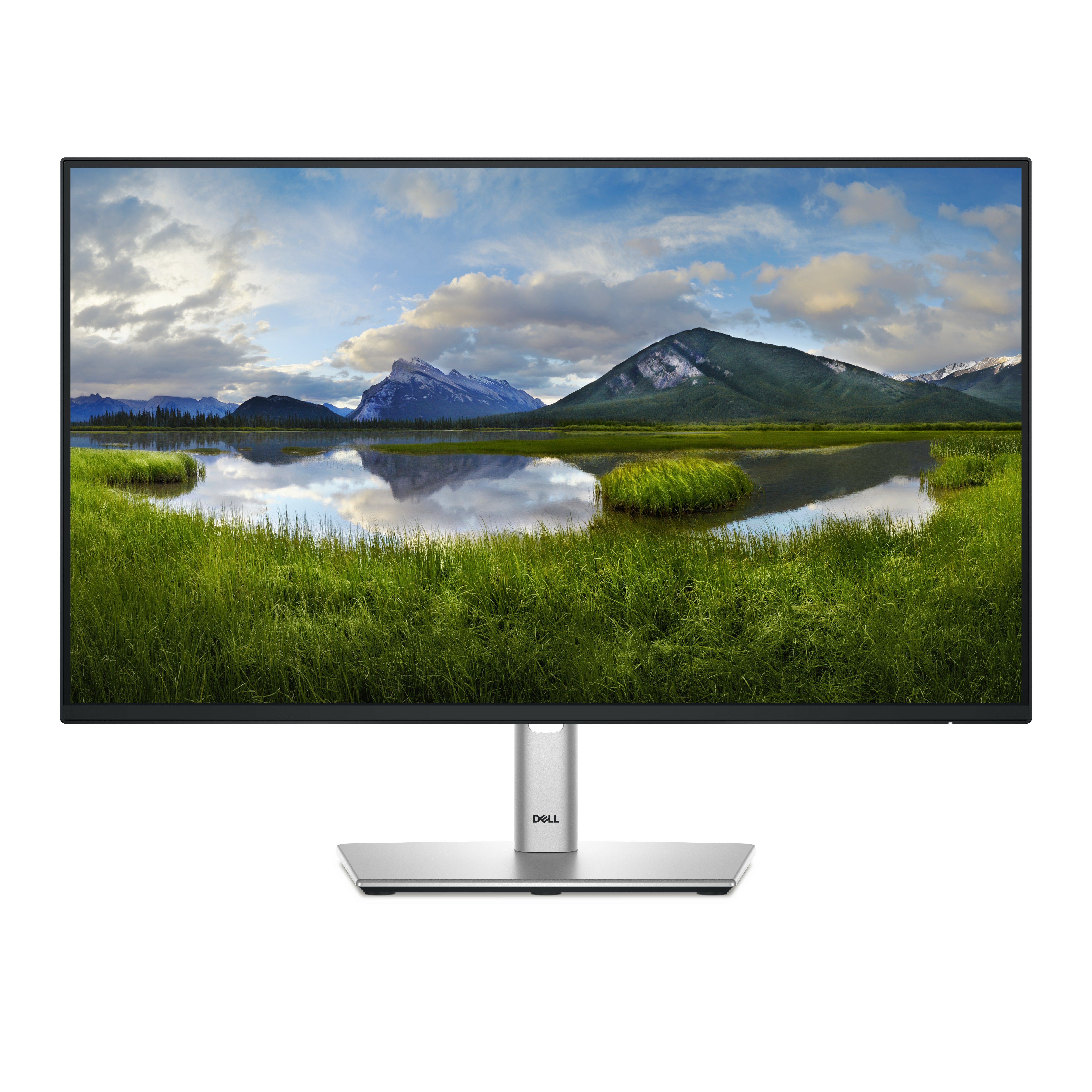Dell 24 Monitor - P2425H - 60.5cm (23.8")