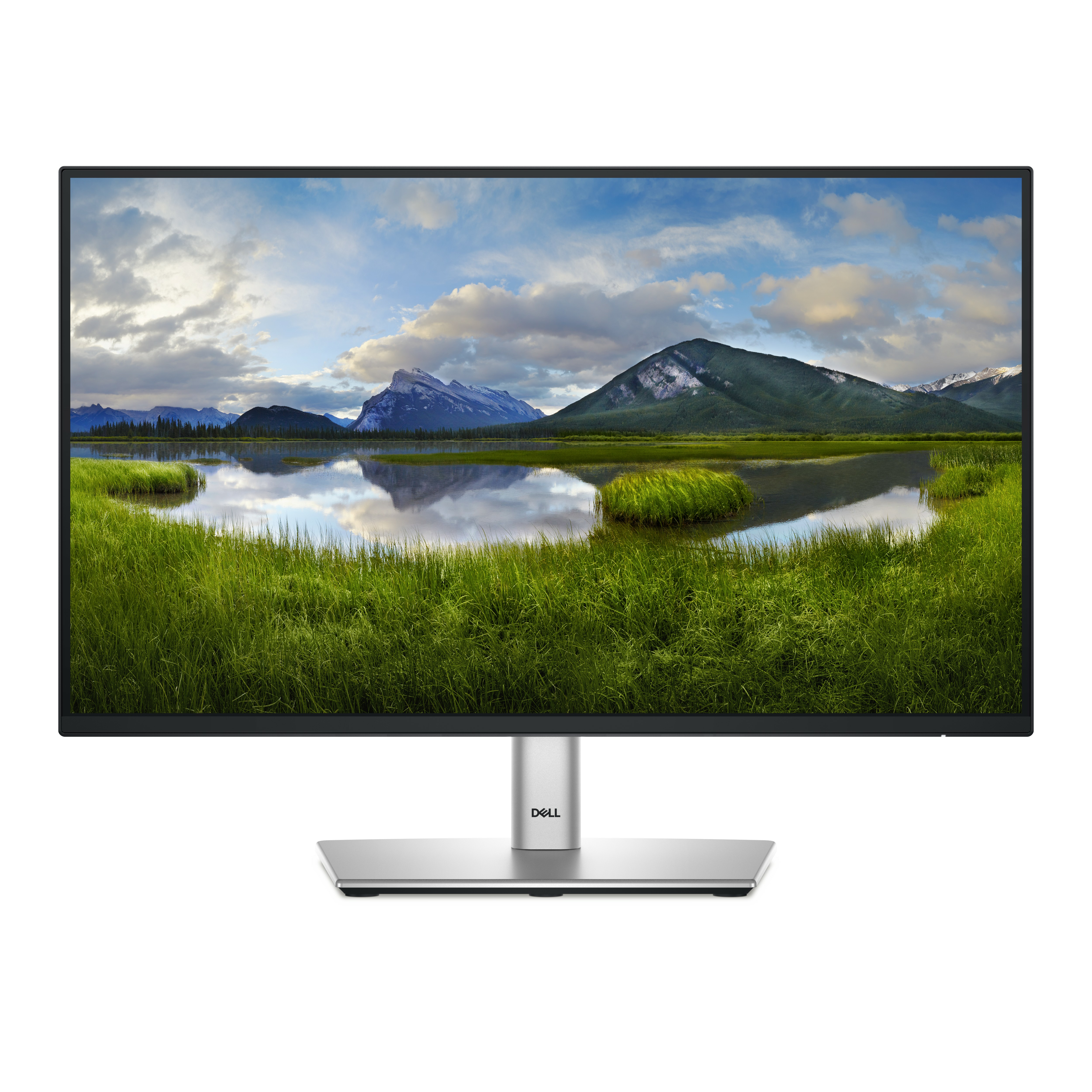 Dell 22 Monitor - P2225H - 54.6cm (21.5")