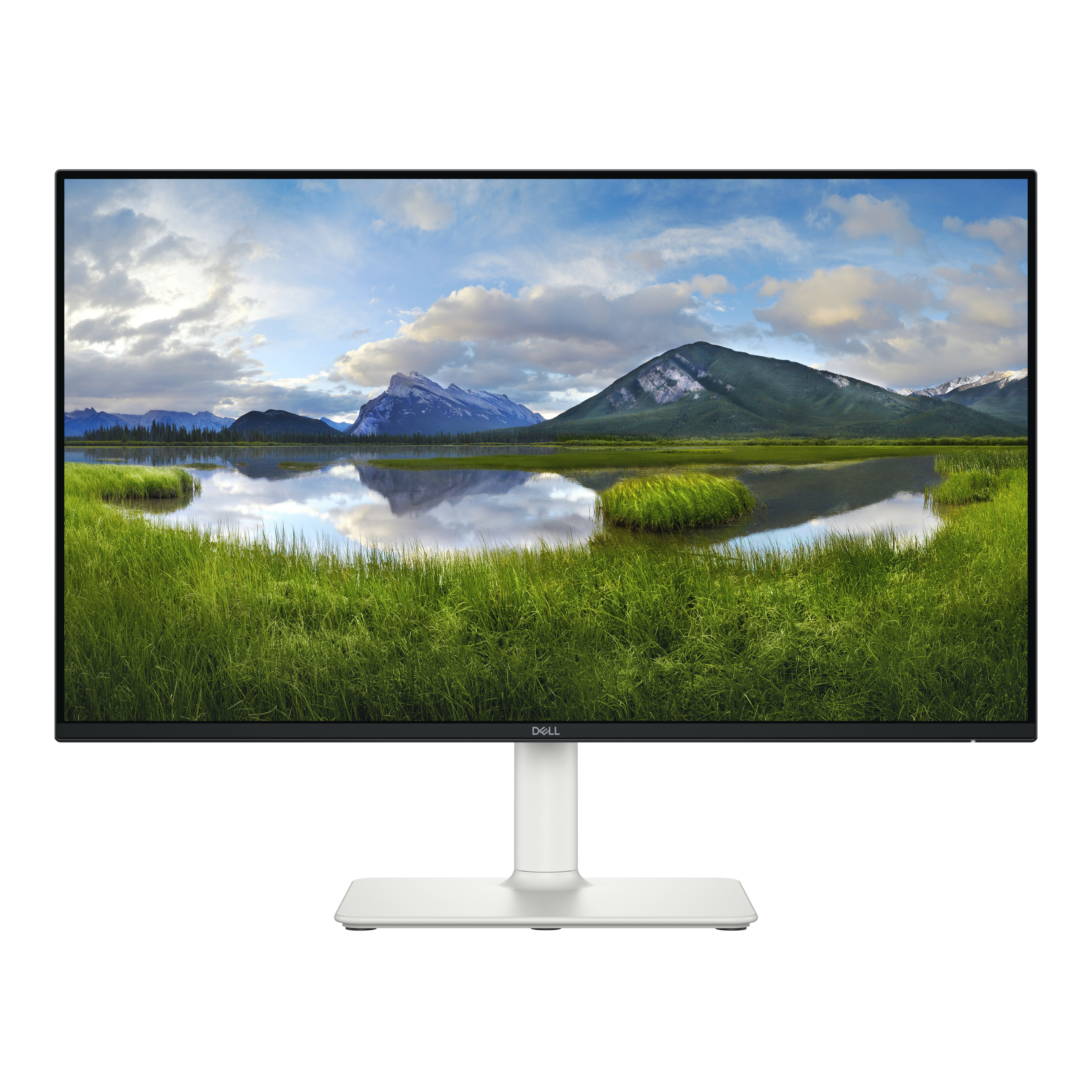 Dell 24 Plus Adjustable Stand Monitor - S2425HS - 60.45 cm (23.8”)