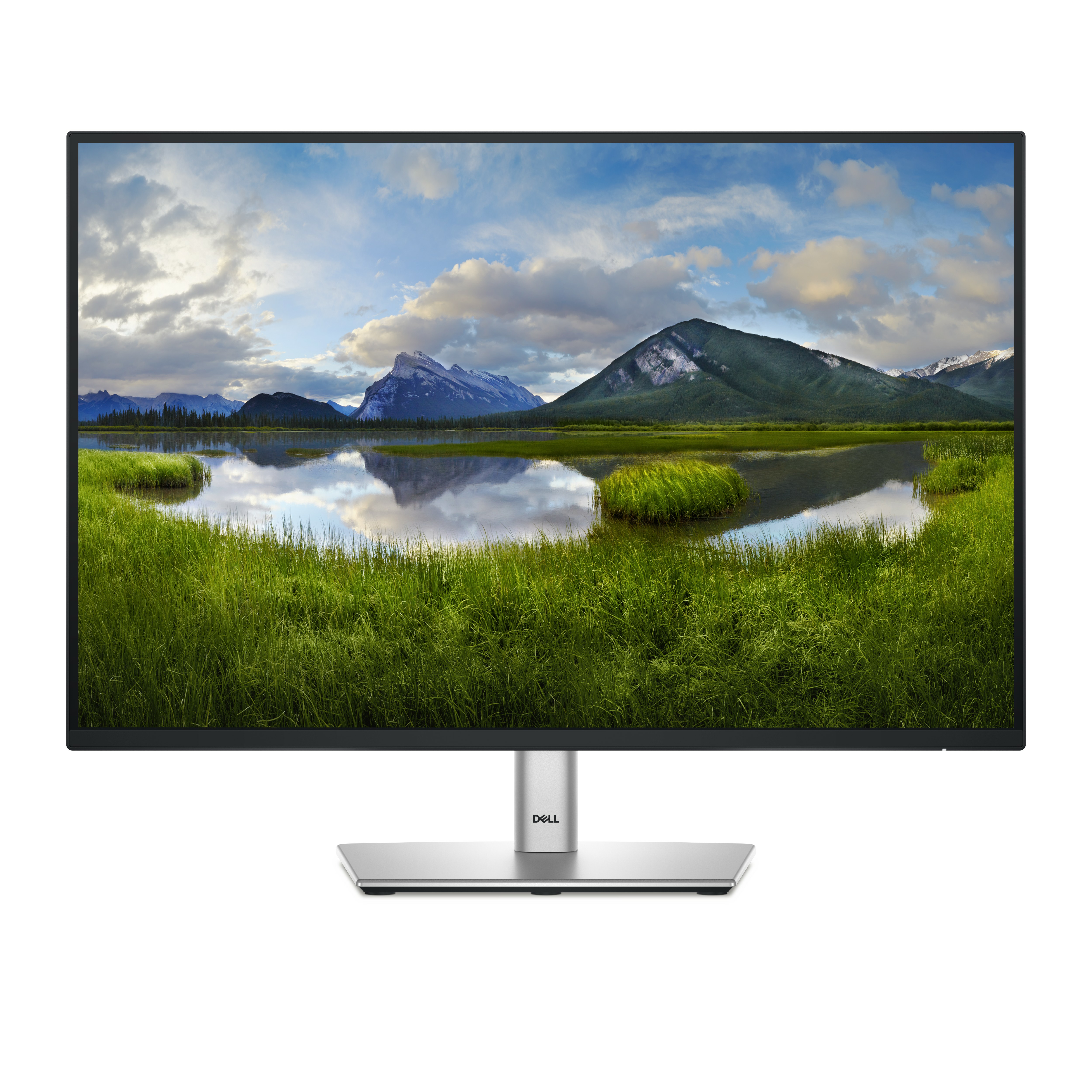 Dell 24 Monitor - P2425 - 61cm (24.0")