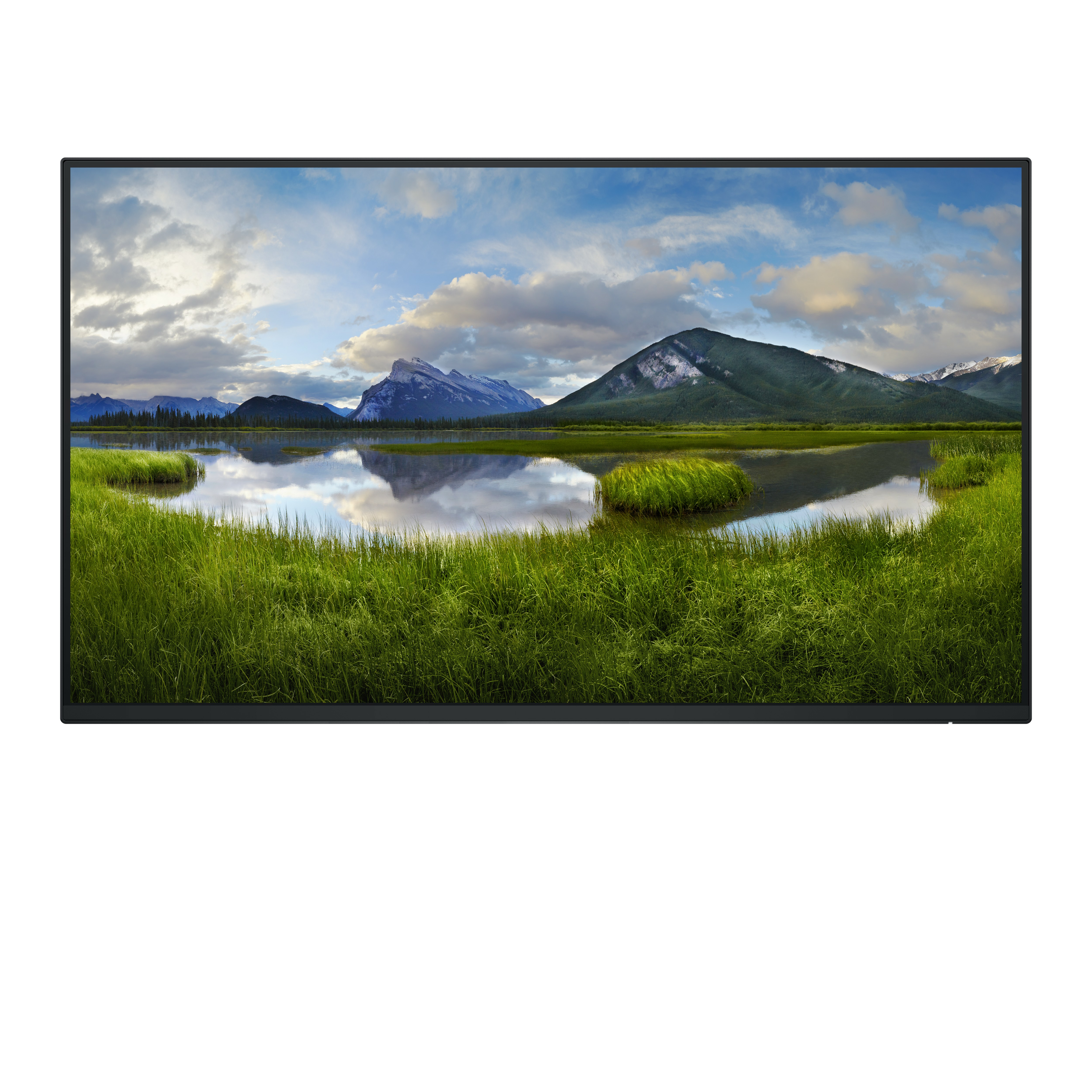 Dell 24 Monitor - P2425H - without stand - 60.5cm (23.8")
